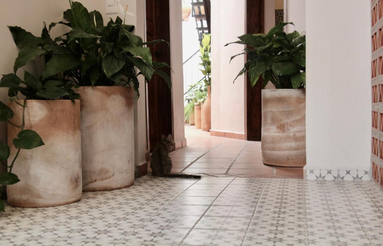 Casa Irake Guadalajara Exterior foto
